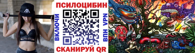 Галлюциногенные грибы Psilocybine cubensis  Фрязино 