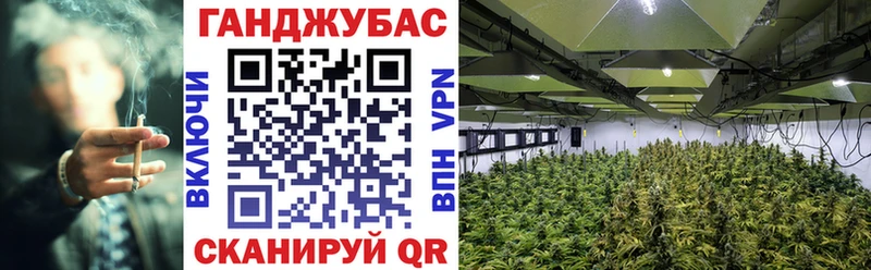 hydra tor  Фрязино  Бошки марихуана THC 21% 